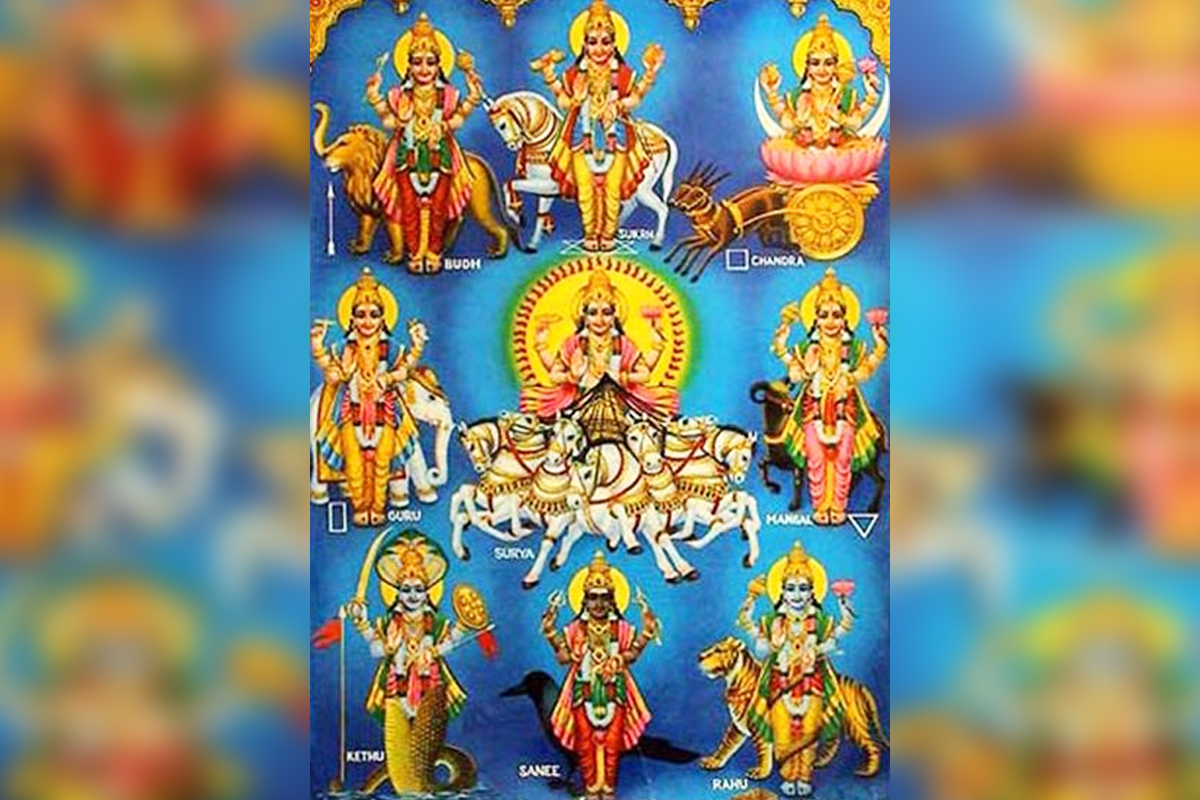 Gallery Images